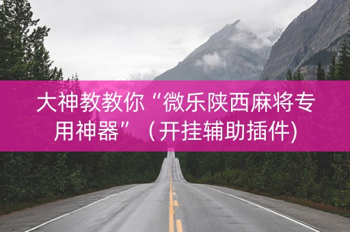 大神教教你“微乐陕西麻将专用神器”（开挂辅助插件)