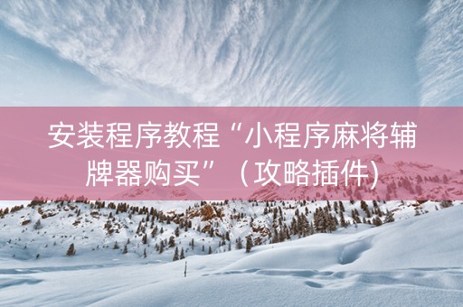 安装程序教程“小程序麻将辅牌器购买”（攻略插件)