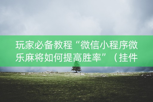 玩家必备教程“微信小程序微乐麻将如何提高胜率”（挂件神器)