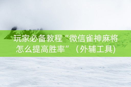 玩家必备教程“微信雀神麻将怎么提高胜率”（外辅工具)