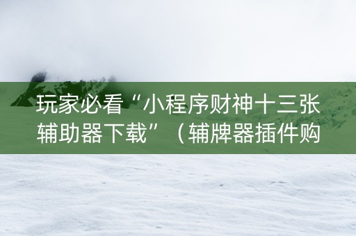 玩家必看“小程序财神十三张辅助器下载”（辅牌器插件购买)