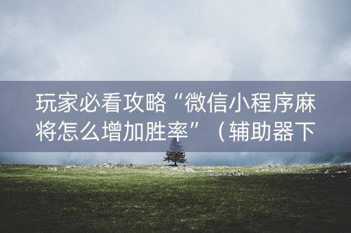 玩家必看攻略“微信小程序麻将怎么增加胜率”（辅助器下载)