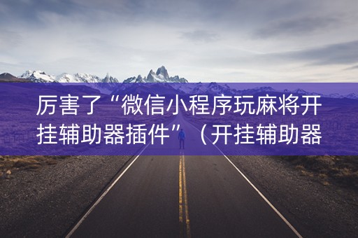 厉害了“微信小程序玩麻将开挂辅助器插件”（开挂辅助器脚本)