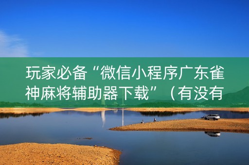 玩家必备“微信小程序广东雀神麻将辅助器下载”（有没有猫腻)