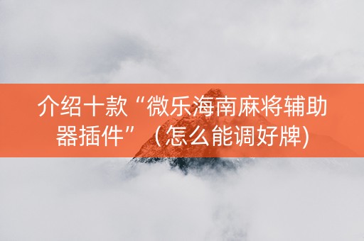 介绍十款“微乐海南麻将辅助器插件”（怎么能调好牌)