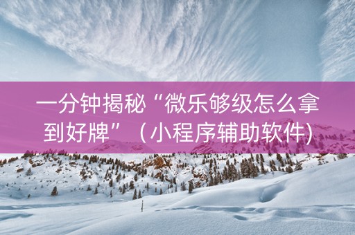 一分钟揭秘“微乐够级怎么拿到好牌”（小程序辅助软件)