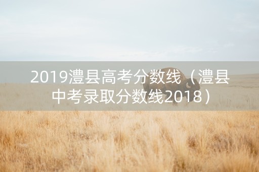 2019澧县高考分数线（澧县中考录取分数线2018）