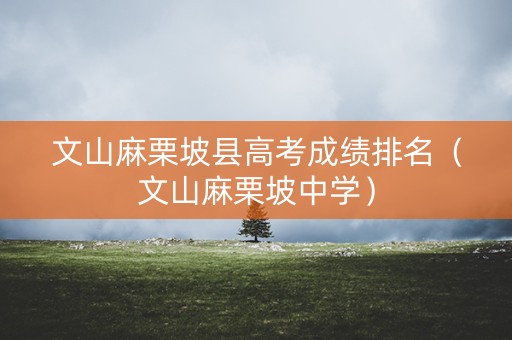文山麻栗坡县高考成绩排名（文山麻栗坡中学）