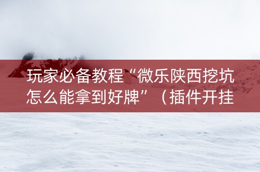 玩家必备教程“微乐陕西挖坑怎么能拿到好牌”（插件开挂免费AI)