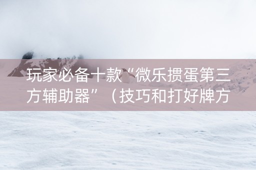玩家必备十款“微乐掼蛋第三方辅助器”（技巧和打好牌方法)