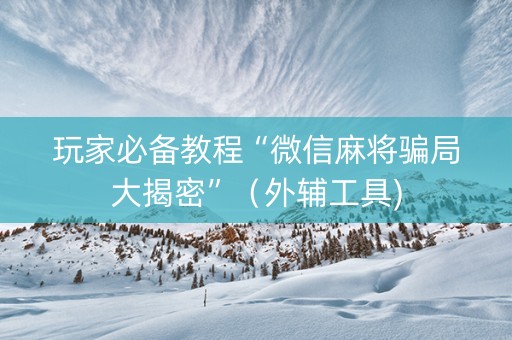 玩家必备教程“微信麻将骗局大揭密”（外辅工具)