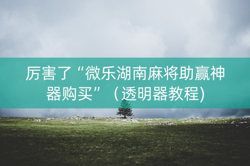 厉害了“微乐湖南麻将助赢神器购买”（透明器教程)