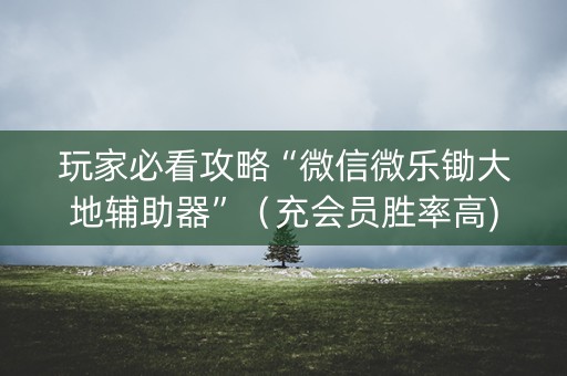 玩家必看攻略“微信微乐锄大地辅助器”（充会员胜率高)