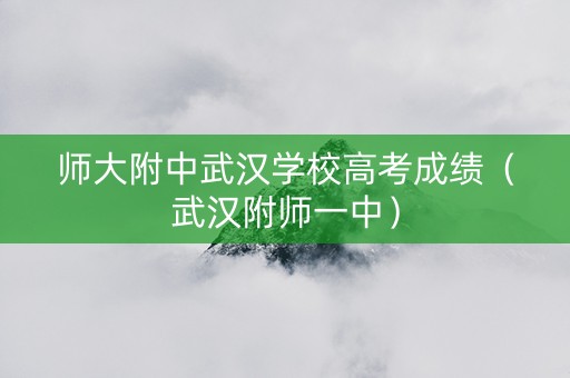师大附中武汉学校高考成绩（武汉附师一中）