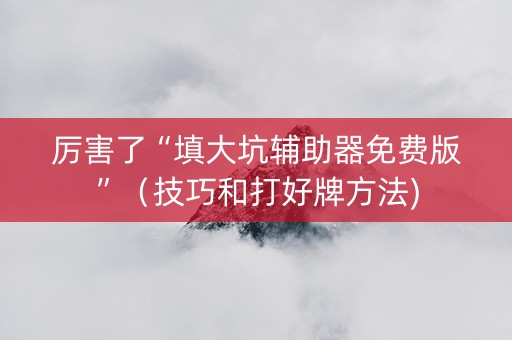 厉害了“填大坑辅助器免费版”（技巧和打好牌方法)