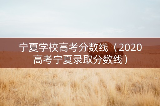 宁夏学校高考分数线（2020高考宁夏录取分数线）