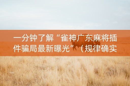 一分钟了解“雀神广东麻将插件骗局最新曝光”（规律确实有挂)