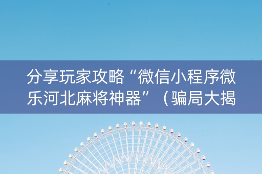 分享玩家攻略“微信小程序微乐河北麻将神器”（骗局大揭秘)