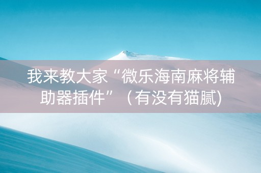 我来教大家“微乐海南麻将辅助器插件”（有没有猫腻)