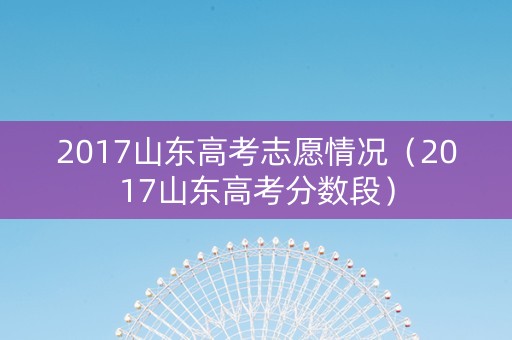 2017山东高考志愿情况（2017山东高考分数段）