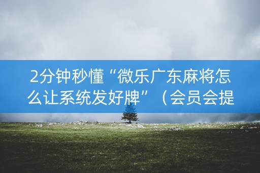 2分钟秒懂“微乐广东麻将怎么让系统发好牌”（会员会提高胜率吗)