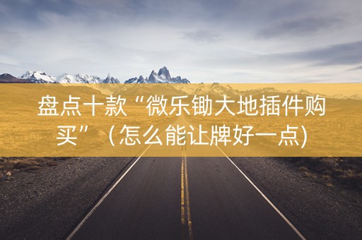 盘点十款“微乐锄大地插件购买”（怎么能让牌好一点)