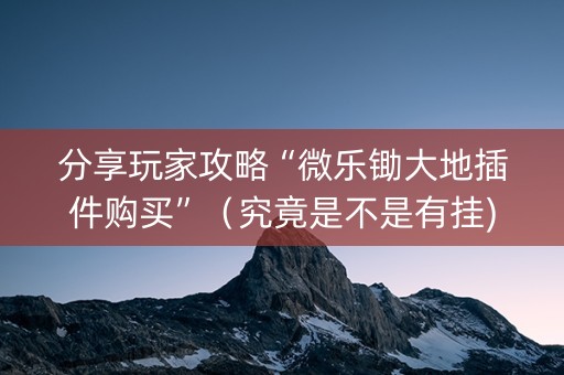 分享玩家攻略“微乐锄大地插件购买”（究竟是不是有挂)
