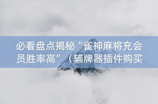 必看盘点揭秘“雀神麻将充会员胜率高”（辅牌器插件购买)