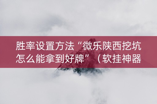 胜率设置方法“微乐陕西挖坑怎么能拿到好牌”（软挂神器)