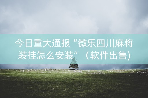 今日重大通报“微乐四川麻将装挂怎么安装”（软件出售)
