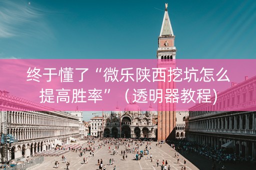 终于懂了“微乐陕西挖坑怎么提高胜率”（透明器教程)
