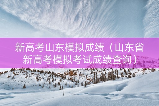 新高考山东模拟成绩（山东省新高考模拟考试成绩查询）
