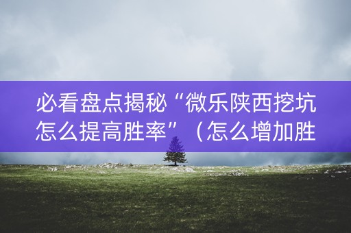 必看盘点揭秘“微乐陕西挖坑怎么提高胜率”（怎么增加胜率)