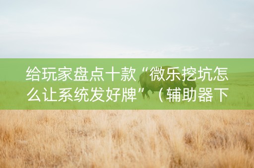 给玩家盘点十款“微乐挖坑怎么让系统发好牌”（辅助器下载)