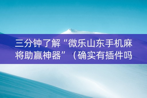 三分钟了解“微乐山东手机麻将助赢神器”（确实有插件吗)