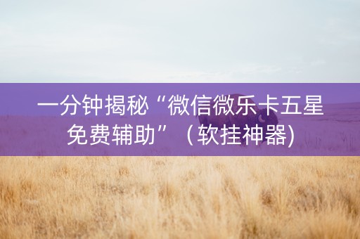 一分钟揭秘“微信微乐卡五星免费辅助”（软挂神器)