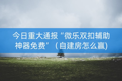 今日重大通报“微乐双扣辅助神器免费”（自建房怎么赢)