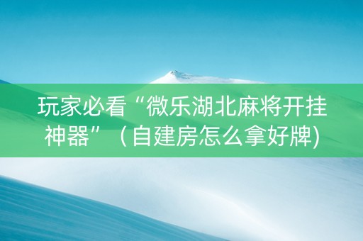玩家必看“微乐湖北麻将开挂神器”（自建房怎么拿好牌)