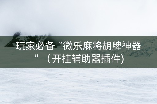 玩家必备“微乐麻将胡牌神器”（开挂辅助器插件)