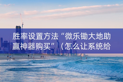胜率设置方法“微乐锄大地助赢神器购买”（怎么让系统给自己好牌)