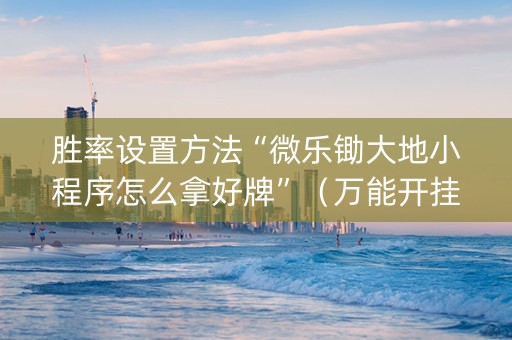 胜率设置方法“微乐锄大地小程序怎么拿好牌”（万能开挂器)
