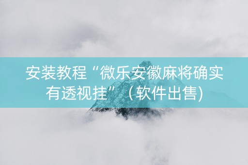安装教程“微乐安徽麻将确实有透视挂”（软件出售)