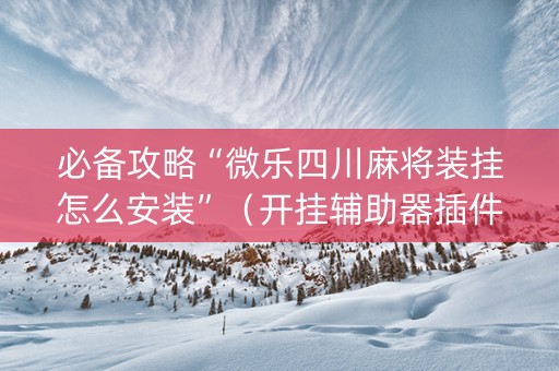 必备攻略“微乐四川麻将装挂怎么安装”（开挂辅助器插件)