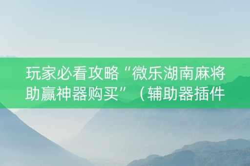 玩家必看攻略“微乐湖南麻将助赢神器购买”（辅助器插件)