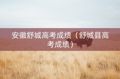 安徽舒城高考成绩（舒城县高考成绩）