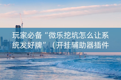 玩家必备“微乐挖坑怎么让系统发好牌”（开挂辅助器插件)