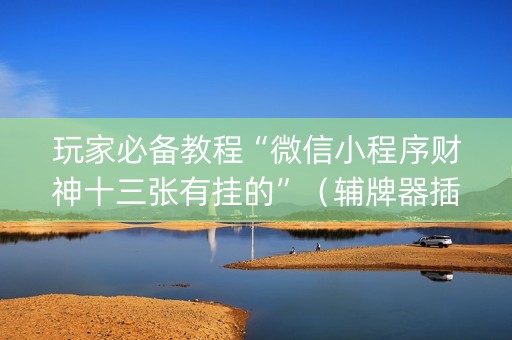 玩家必备教程“微信小程序财神十三张有挂的”（辅牌器插件购买)