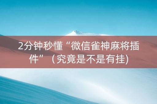 2分钟秒懂“微信雀神麻将插件”（究竟是不是有挂)