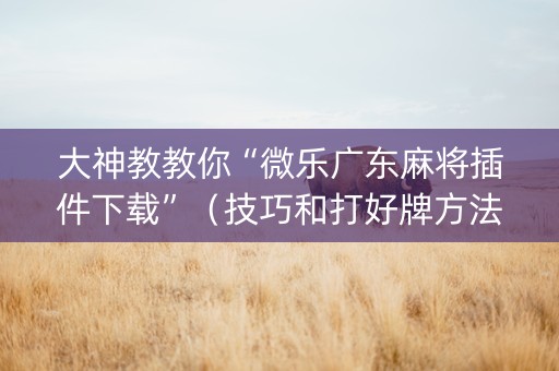 大神教教你“微乐广东麻将插件下载”（技巧和打好牌方法)