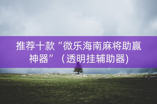 推荐十款“微乐海南麻将助赢神器”（透明挂辅助器)